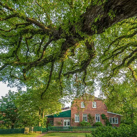 Appartementhaus Westerloog 18 Spiekeroog